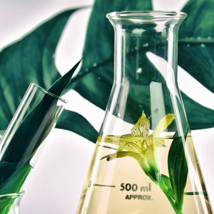 Peel & Boost Duo - Image 2